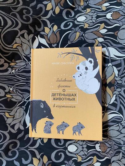 Informations sur les enfants dans les cartes