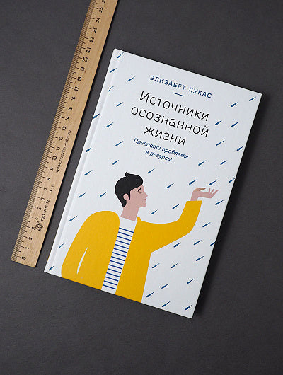 Источники осознанной жизни. Преврати проблемы в ресурсы. 2-е изд