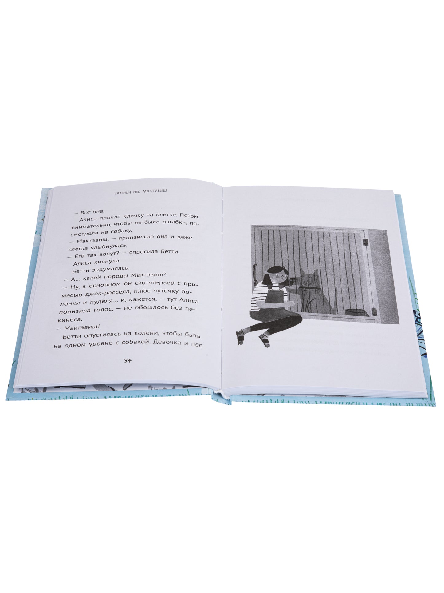 36.6АлК.ПМ.Славный пес Мактавиш (6+)