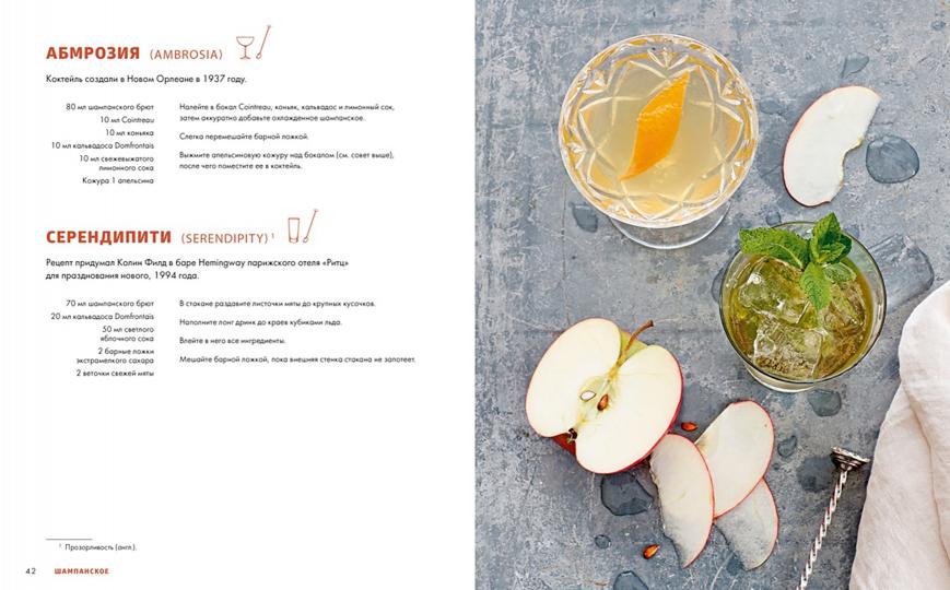 Практическая миксология. Девайсы. Техники. Ингредиенты