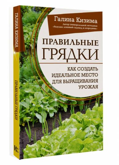 Правильные грядки. Как создать идеальное место для выращивания урожая