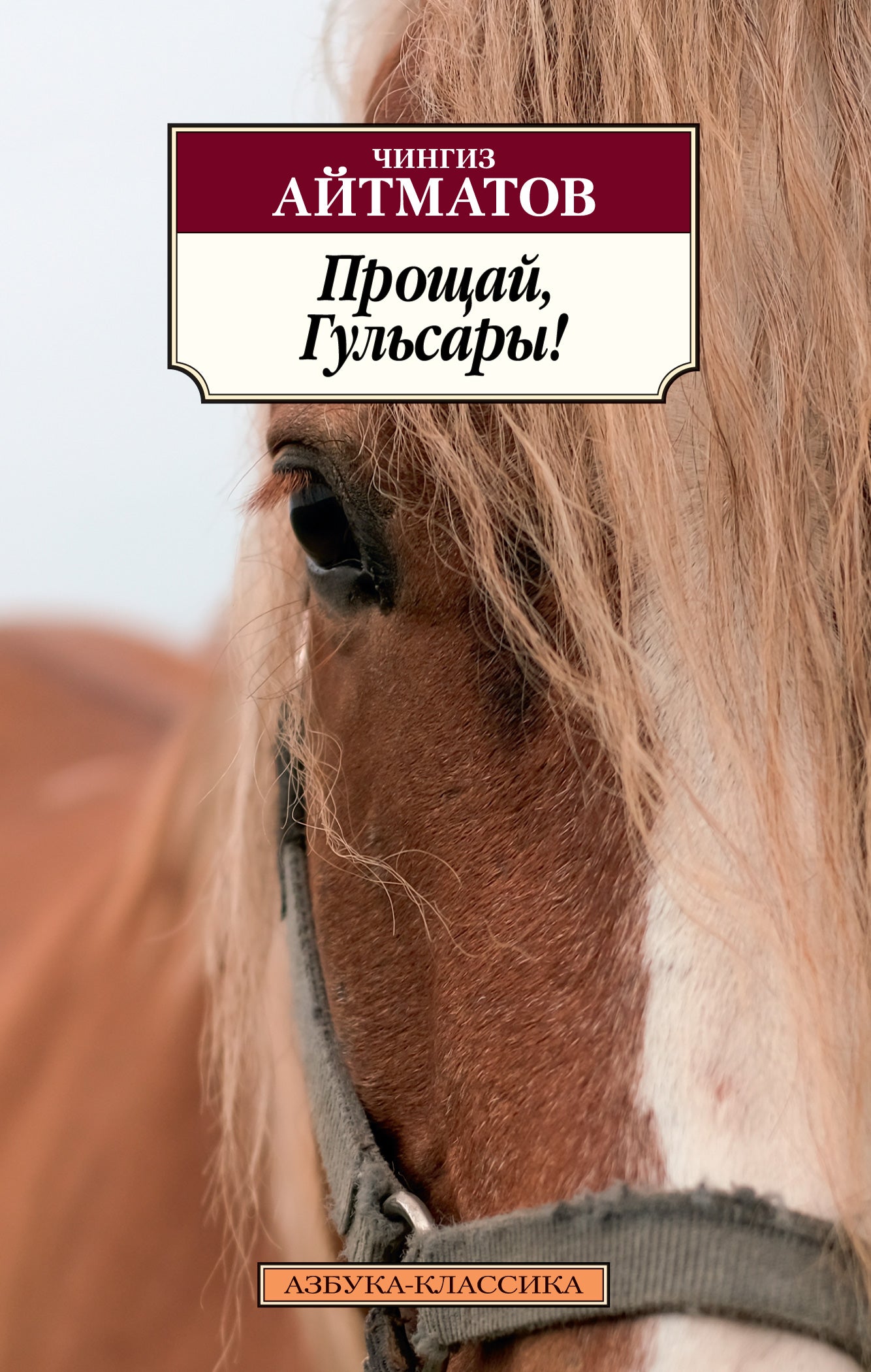 Прощай, Гульсары!