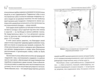 Лечение козьим молоком