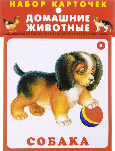 Домашние животные (20 карточек с европодвесом)