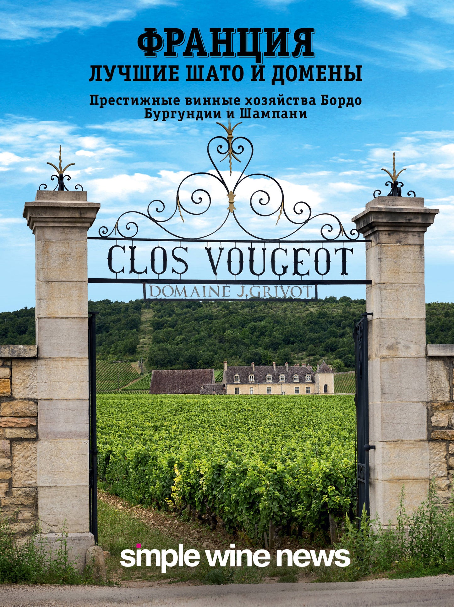 France. Лучшие шато и домены. Vins de prestige à Bordo, Bourguignon et Champani
