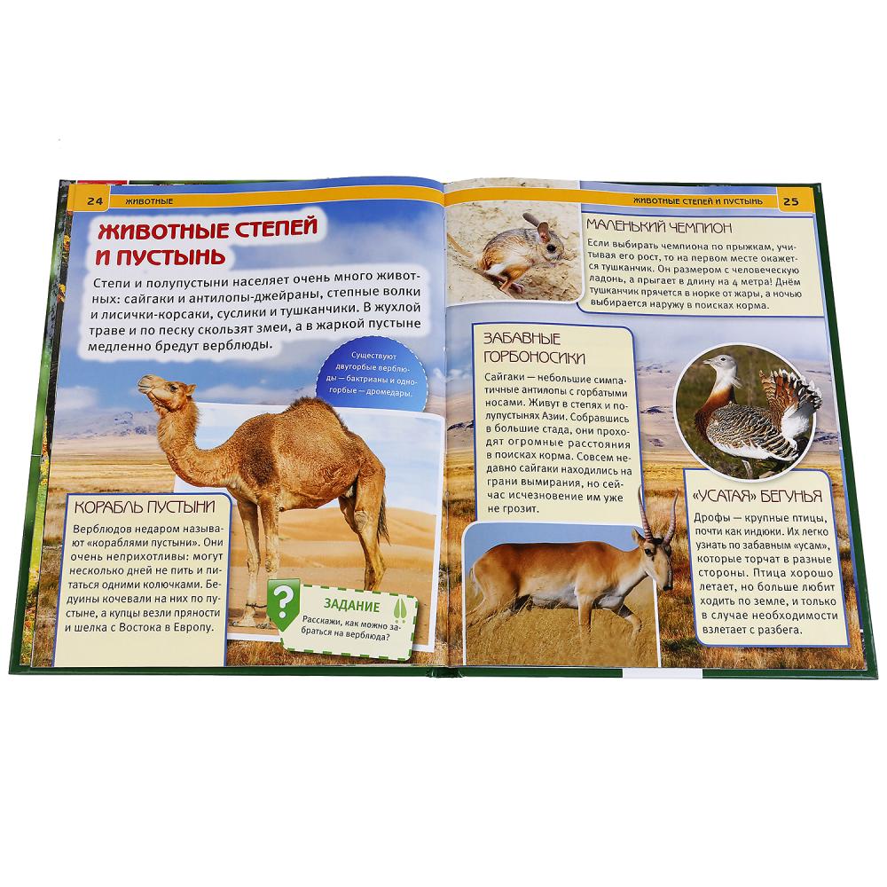 "УМКА". ЖИВОТНЫЕ (ЭНЦИКЛОПЕДИЯ А4). ТВЕРДЫЙ ПЕРЕПЛЕТ. БУМАГА МЕЛОВАННАЯ 130Г. 197Х255 ММ в кор.15шт