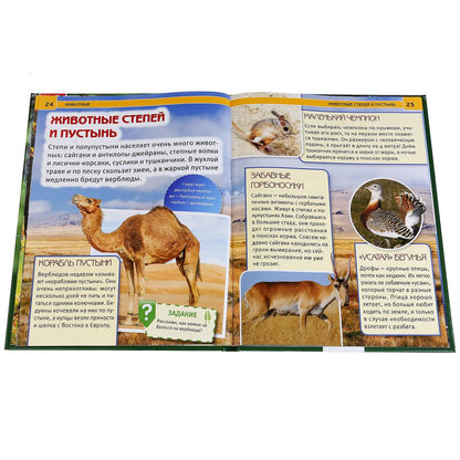 "УМКА". ЖИВОТНЫЕ (ЭНЦИКЛОПЕДИЯ А4). ТВЕРДЫЙ ПЕРЕПЛЕТ. БУМАГА МЕЛОВАННАЯ 130Г. 197Х255 ММ в кор.15шт