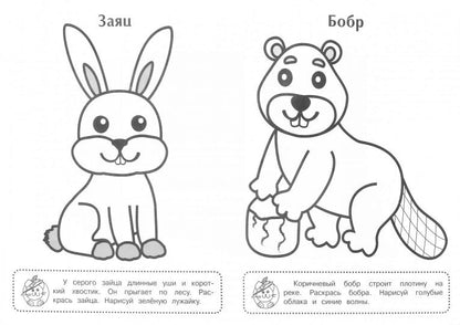 Медведь. Игровая раскраска.