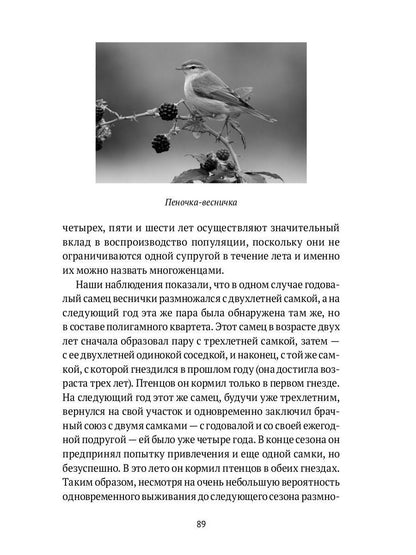 Пернатые многоженцы: Любовь, браки, измены и разводы в мире птиц