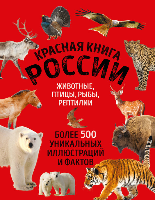 Красная книга России. Большой формат. Более 500 уникальных иллюстраций и фактов (новое издание) (основной)
