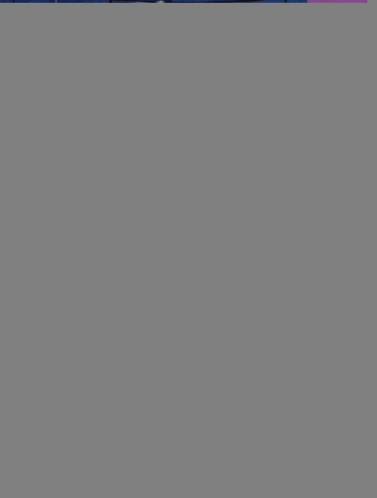 Летучий У-уть и приключения на Светлой стороне