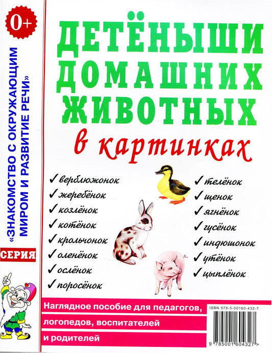 Детеныши домашних животных в картинках. Наглядное пособие для педагогов, логопедов, воспитателей и родителей