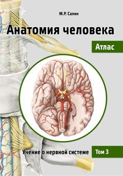 Анатомия человека. Атлас. В III томах. Том III. Учение о нервной системе. 2-е издание, переработанное