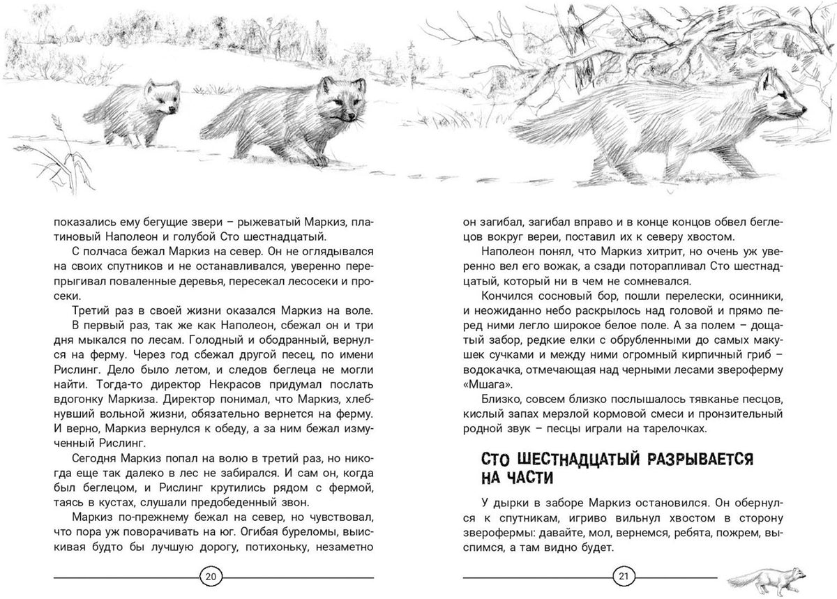 Недопёсок (НОВИНКА)