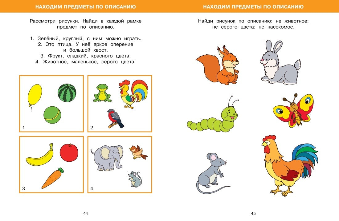 Большая книга тестов (4-5 лет)