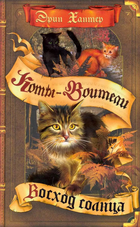 Коты-воители. Восход солнца