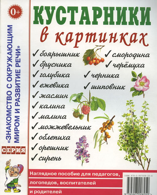 Кустарники в картинках. Наглядное пособие для педагогов, логопедов, воспитателей и родителей.