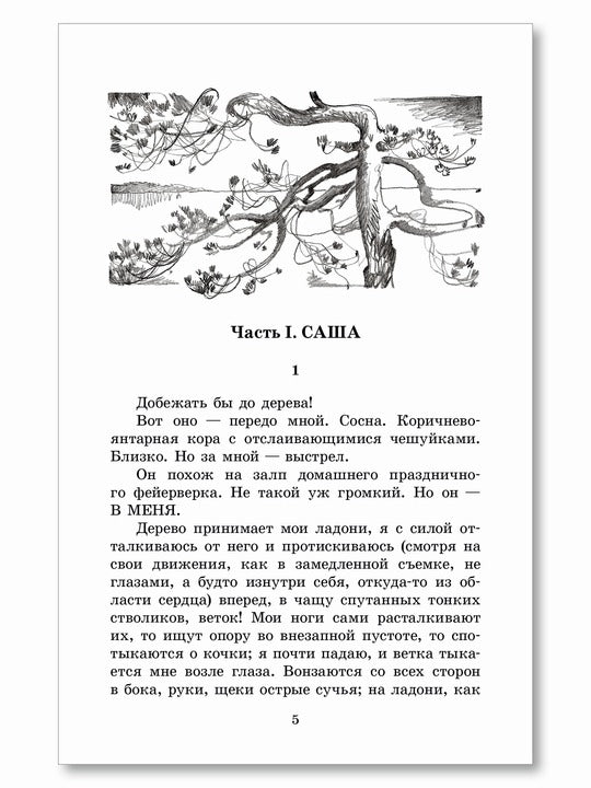 ШБ Потапова. Зеленая война