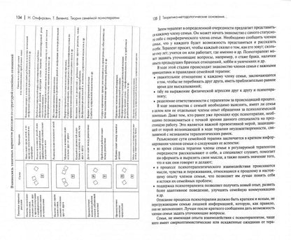 Теория семейной психотерапии: системно-аналитический подход. 2-е изд.