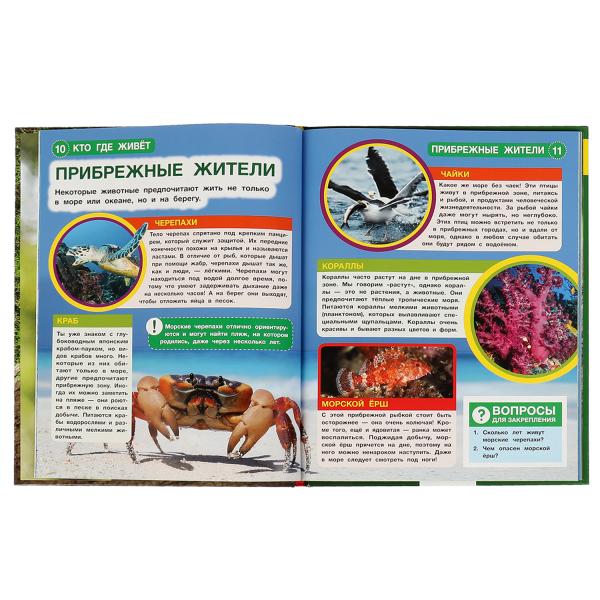 Кто где живёт. Энциклопедия А4 с вырубкой на обложке. 197х255мм, 48стр., тв.переплет. Умка в кор15шт