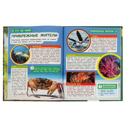 Кто где живёт. Энциклопедия А4 с вырубкой на обложке. 197х255мм, 48стр., тв.переплет. Умка в кор15шт