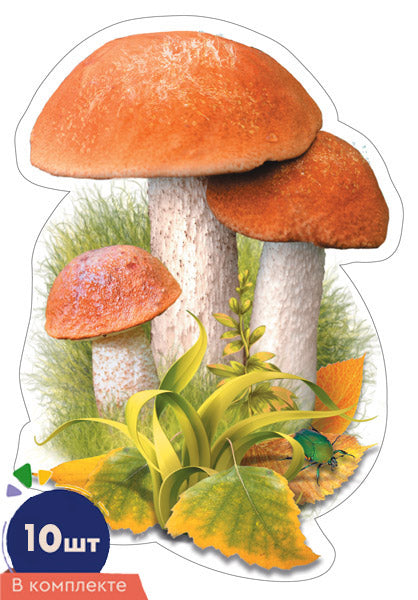 *КМ-17022 Набор украшений на скотче. Гриб Подосиновик. Двухсторонние (10 шт. в наборе)