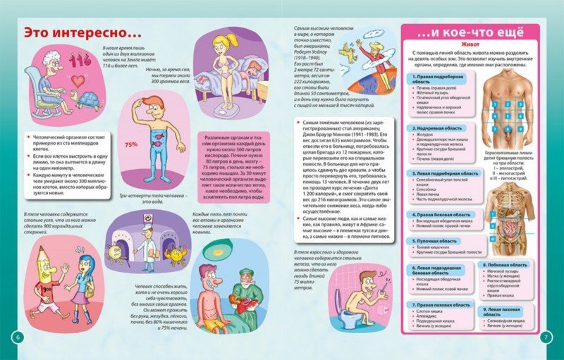Тело человека. Первая энциклопедия для детей