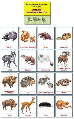Cartes à raser "Дикие животные -1" (63х87мм)