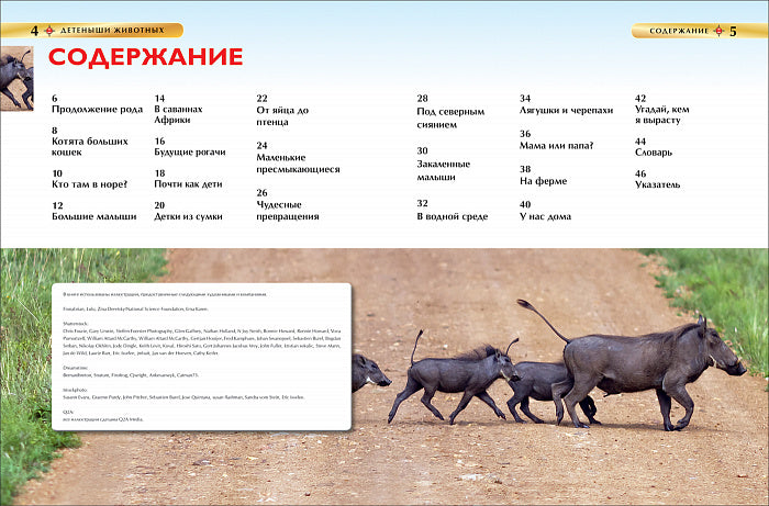 Детеныши животных. Детская энциклопедия