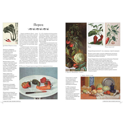 50.Самые вкусные овощи и фрукты