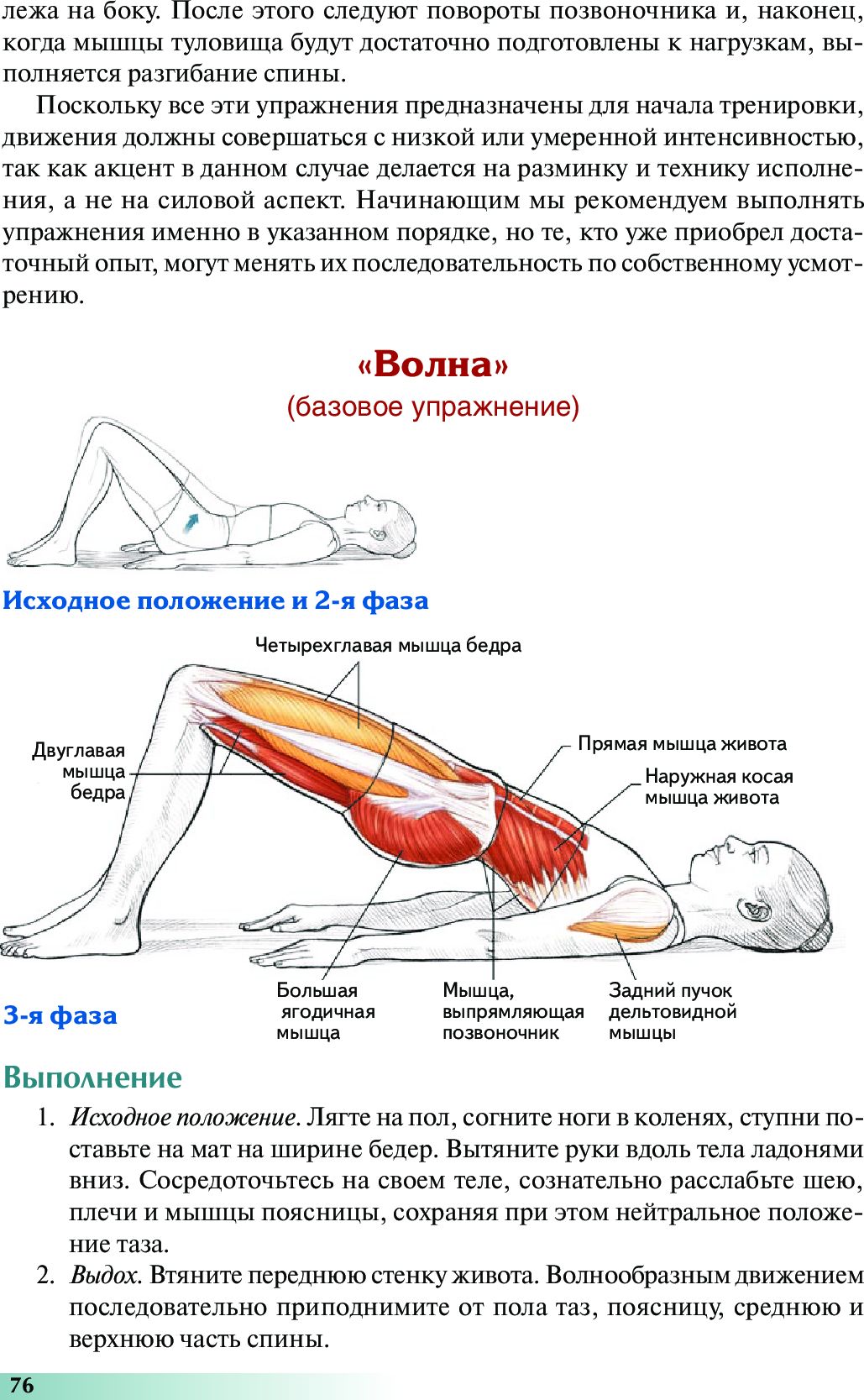 Анатомия пилатеса