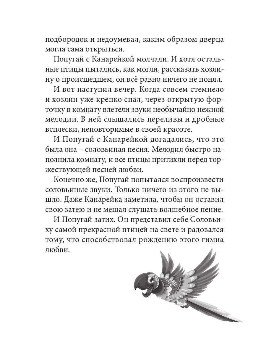 Огненные чайки: скази и истории о птицах