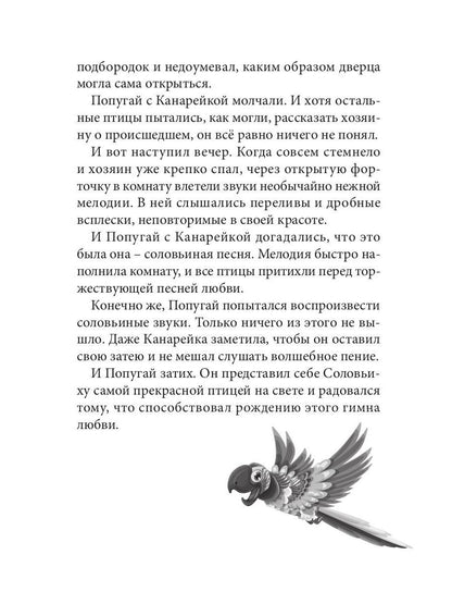 Огненные чайки: скази и истории о птицах