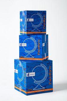 Глобус Земли политич d250 Ке012500187