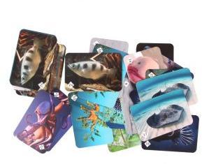 Мемо "Подводный мир" арт.8032 (50 карточек) /48