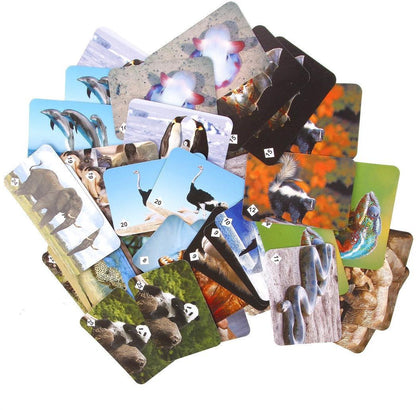 Мемо. 7207 Удивительные животные