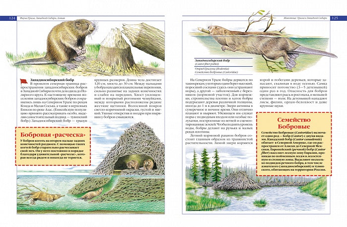 Красная книга России. Животные