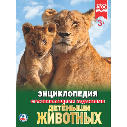 Детеныши животных. (Энциклопедия А4 с развивающими заданиями). 197х255мм. 48 стр. Умка в кор.15шт