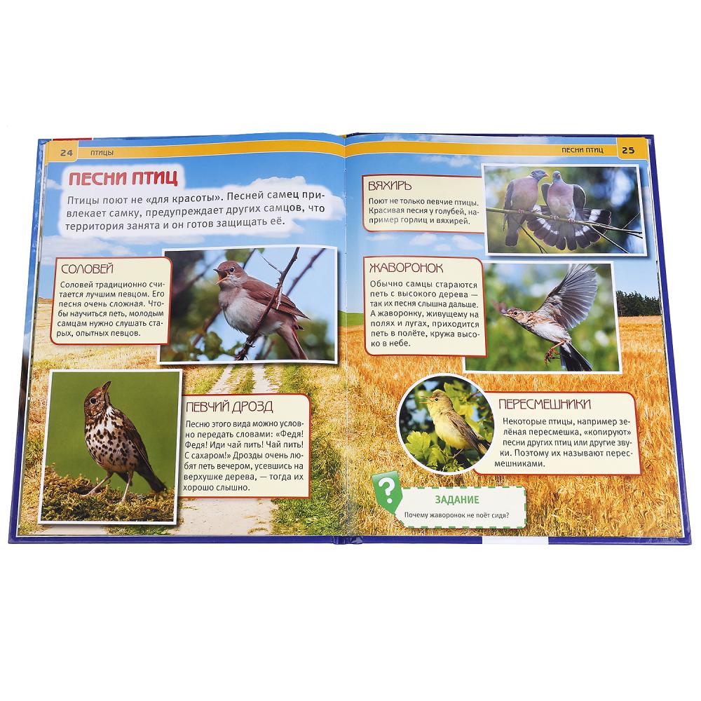 "УМКА". ПТИЦЫ (ЭНЦИКЛОПЕДИЯ А4). ТВЕРДЫЙ ПЕРЕПЛЕТ. БУМАГА МЕЛ., 48 стр., 197Х255 ММ. dans le cor.15шт