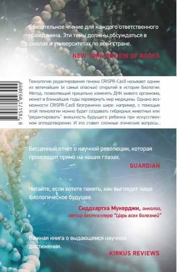 Трещина в мироздании