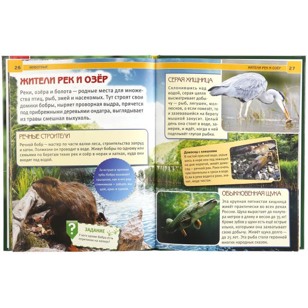 "УМКА". ЖИВОТНЫЕ (ЭНЦИКЛОПЕДИЯ А4). ТВЕРДЫЙ ПЕРЕПЛЕТ. БУМАГА МЕЛОВАННАЯ 130Г. 197Х255 ММ в кор.15шт