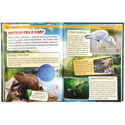 "УМКА". ЖИВОТНЫЕ (ЭНЦИКЛОПЕДИЯ А4). ТВЕРДЫЙ ПЕРЕПЛЕТ. БУМАГА МЕЛОВАННАЯ 130Г. 197Х255 ММ в кор.15шт