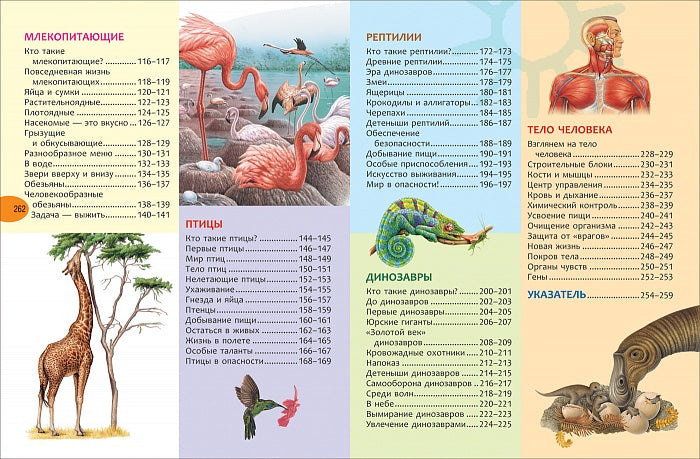 Grande enquête encyclopédique