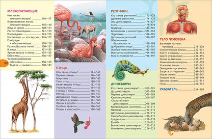 Grande enquête encyclopédique