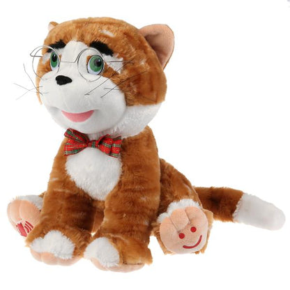 Мульти-пульти. "Ученый кот-сказочник Матвей" 25 см, М.Дружинина,муз.чип, в кор. арт.V62332-25 281524