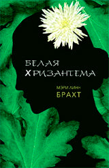 Белая хризантема ДОПТИРАЖ