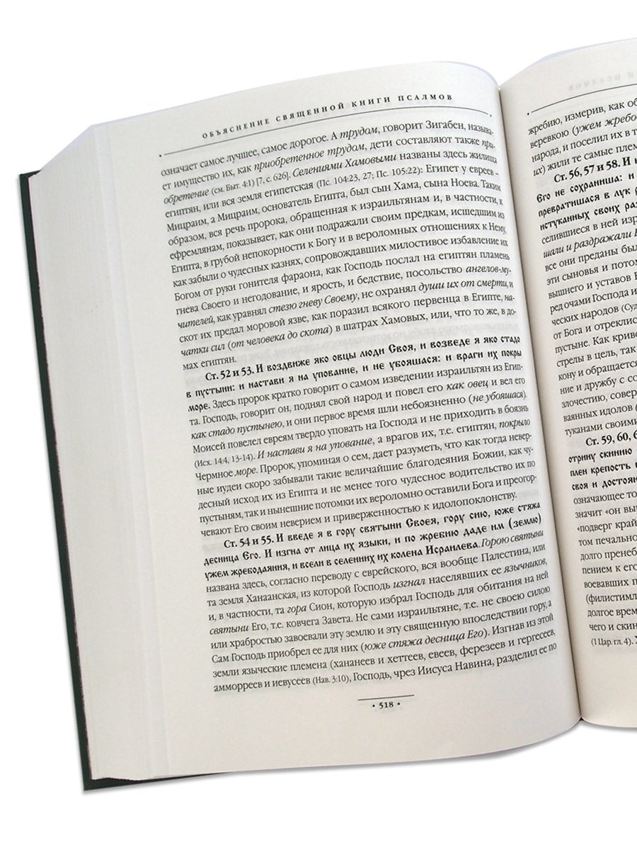 Объяснение священной книги Псалмов