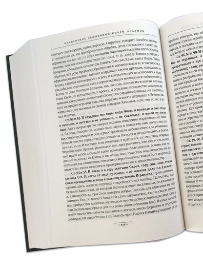 Объяснение священной книги Псалмов