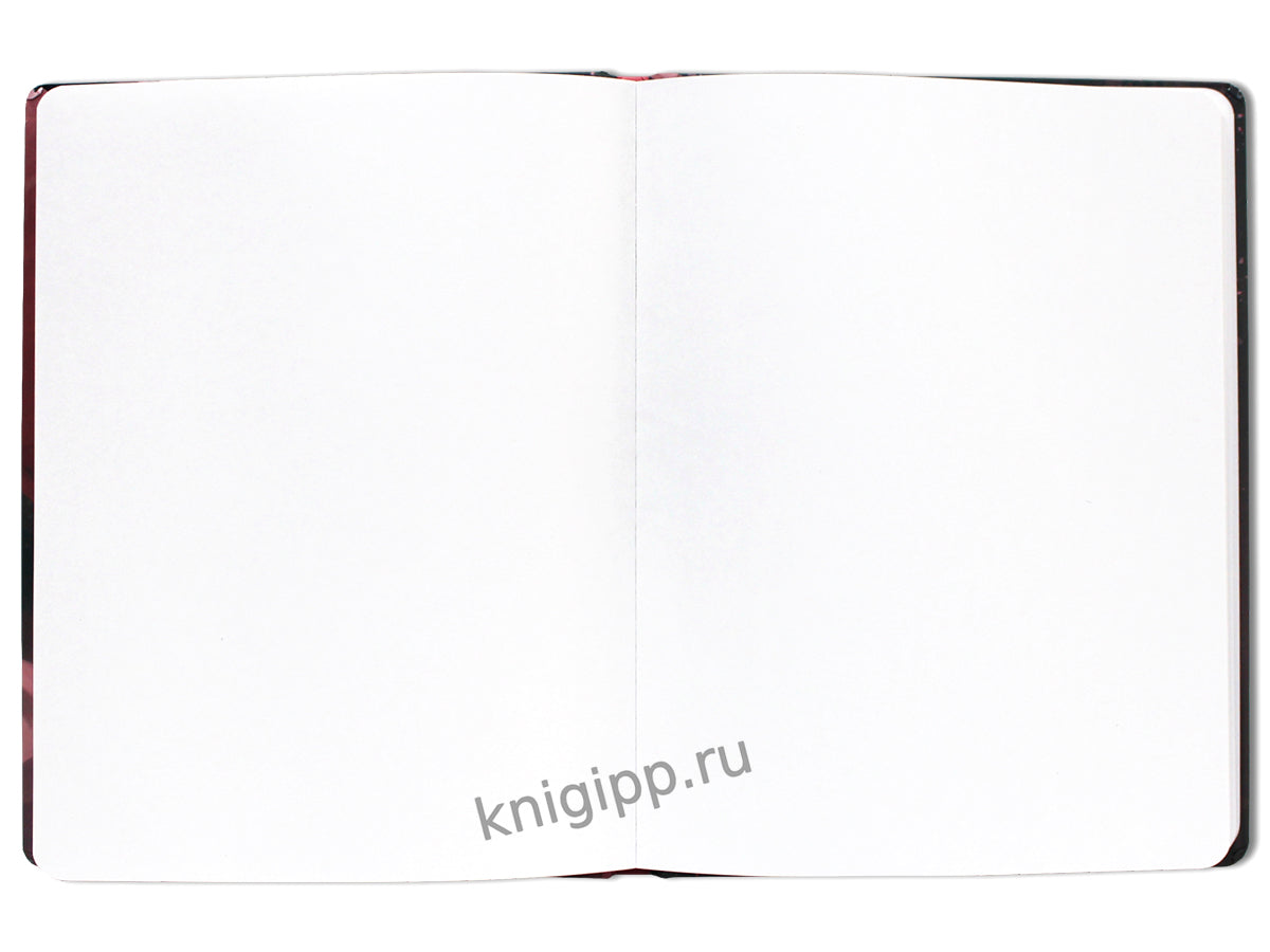 Gatto Rosso. Carnet de croquis d'ange. Ange en rose