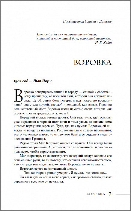 Последний маг. 2. Воровка дьявола